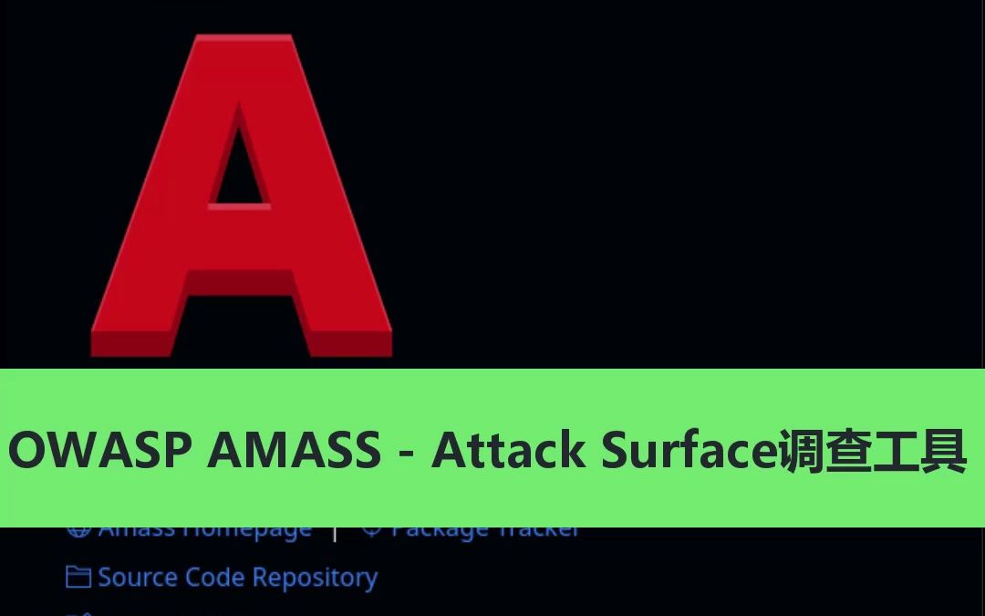 OWASP AMASS  Attack Surface调查工具哔哩哔哩bilibili