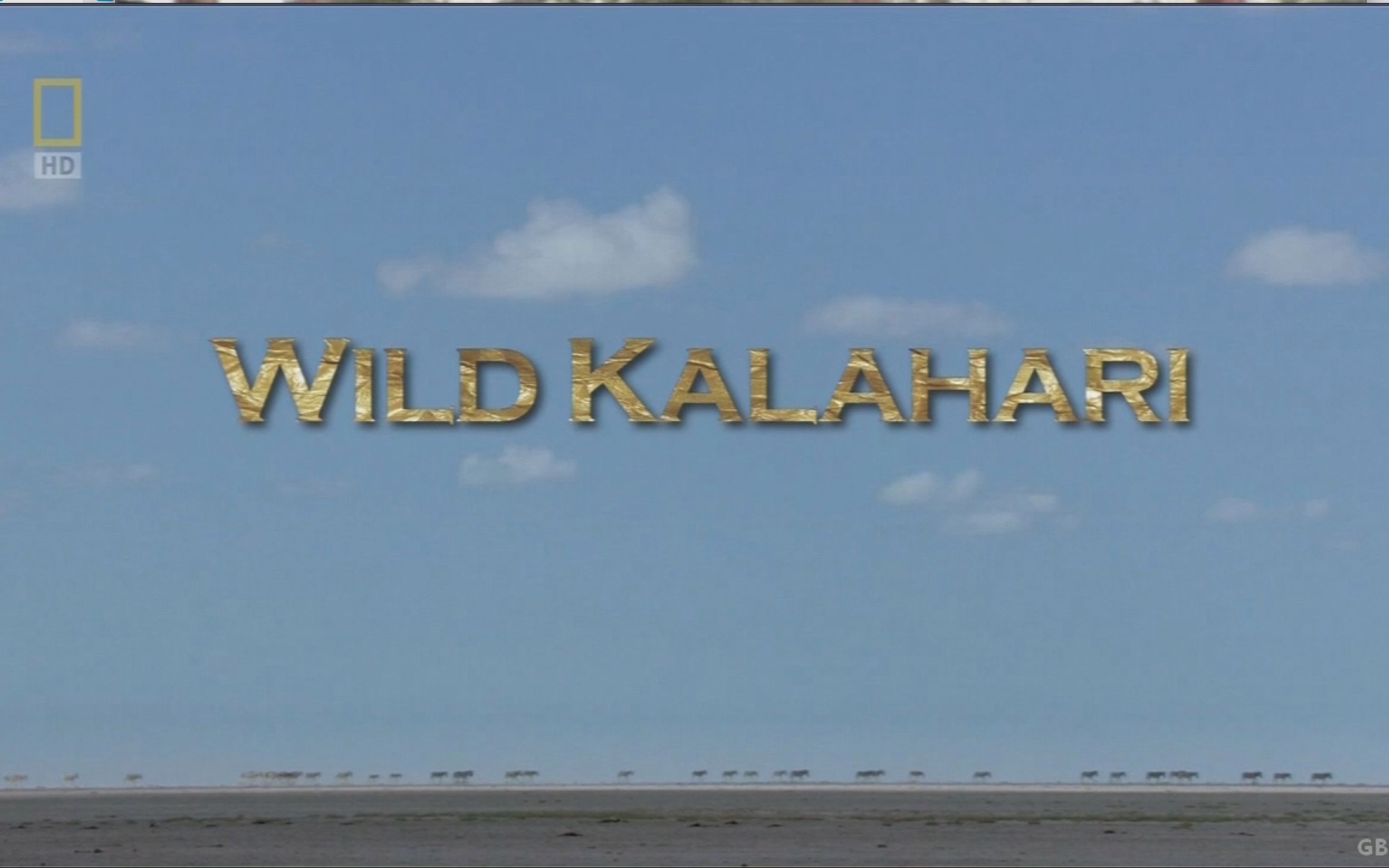 【国家地理频道】野生大地之旅:喀拉哈里沙漠 Wild Kalahari哔哩哔哩bilibili