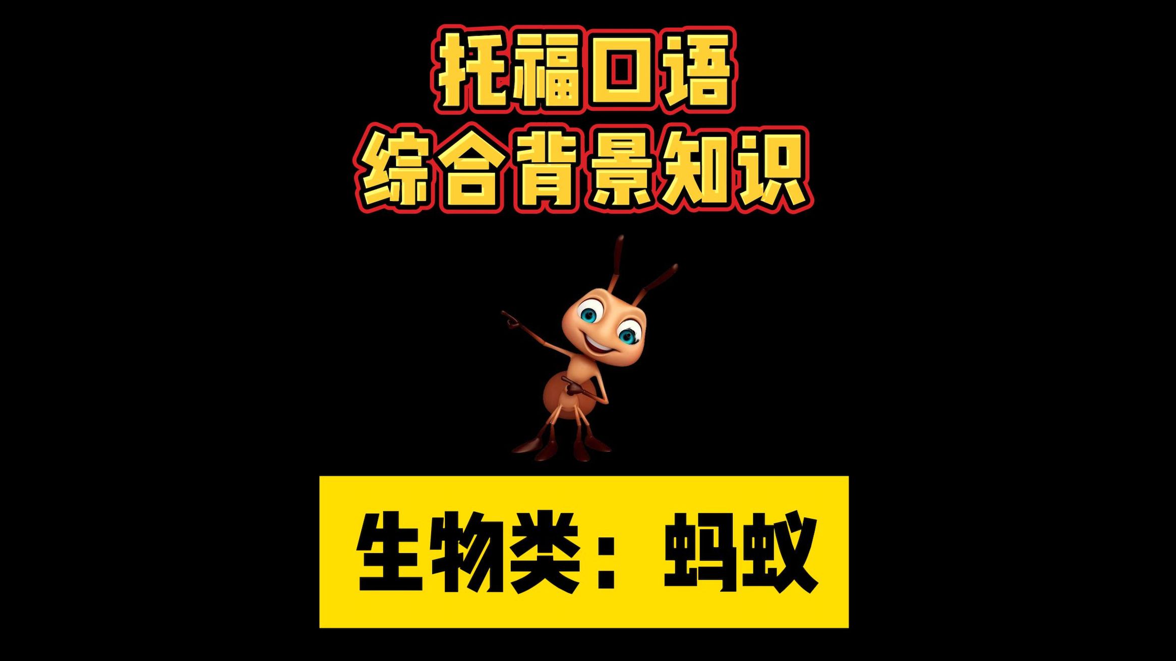 Ants蚂蚁丨托福口语背景知识哔哩哔哩bilibili