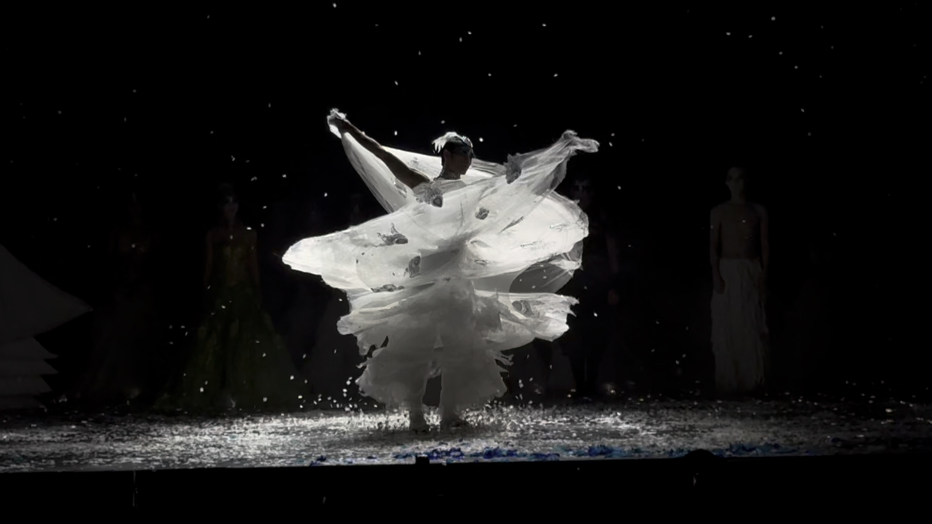 杨丽萍孔雀成都站谢幕