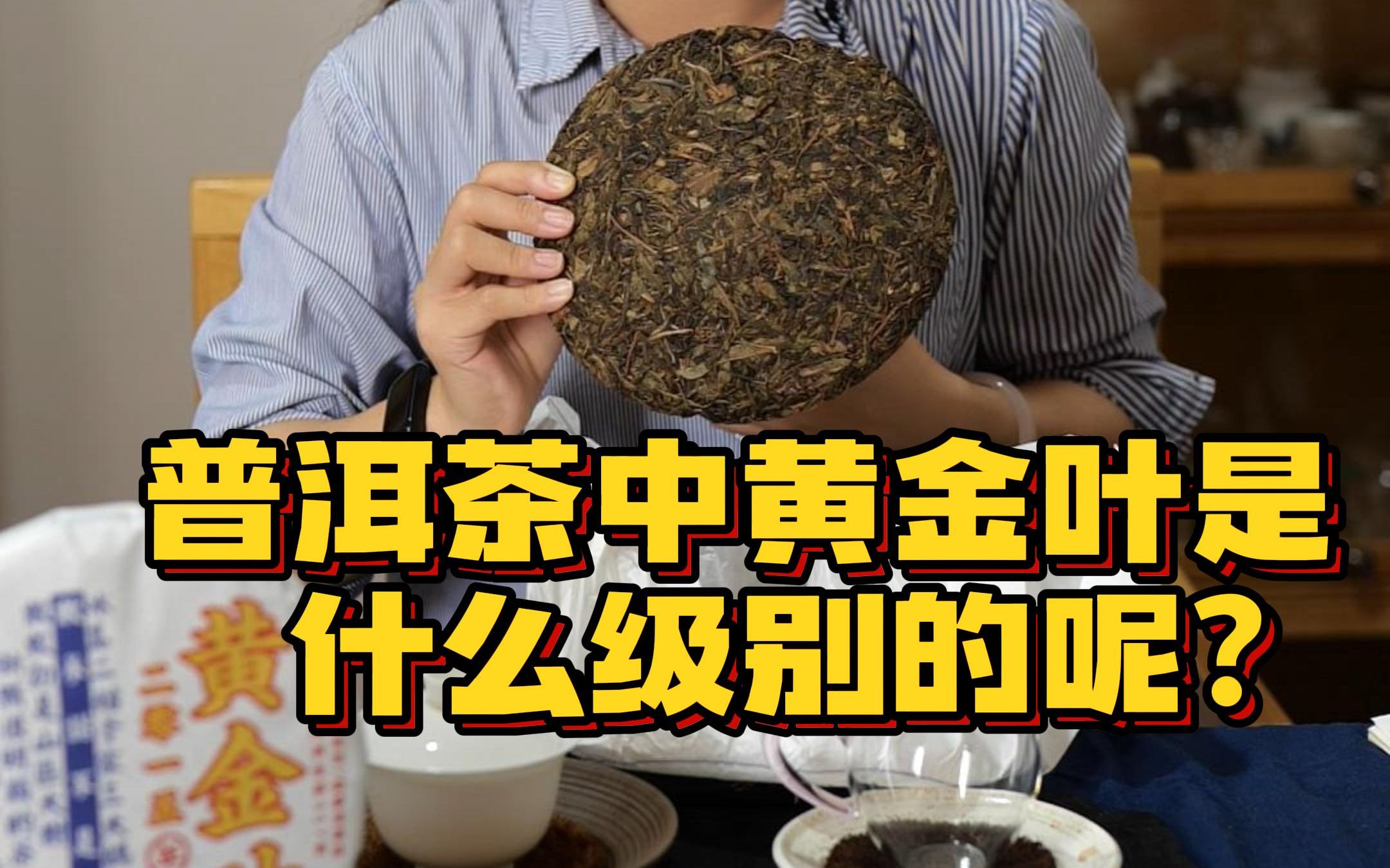 黄金叶,听着高大上的名字,在普洱茶中是什么级别的呢?哔哩哔哩bilibili