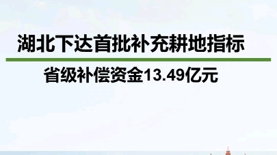 近日,经省政府批准,省自然资源厅、省财政厅联合下达首批补充耕地指标省级补偿资金13.49亿元哔哩哔哩bilibili