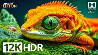 Descargar video: 【4K HDR】4k HDR 240fps杜比视界的惊人之美I屏幕测试，极致画质|杜比视界|电视屏幕测试|手机屏幕测试 |显卡测试 -4k.8k HDR