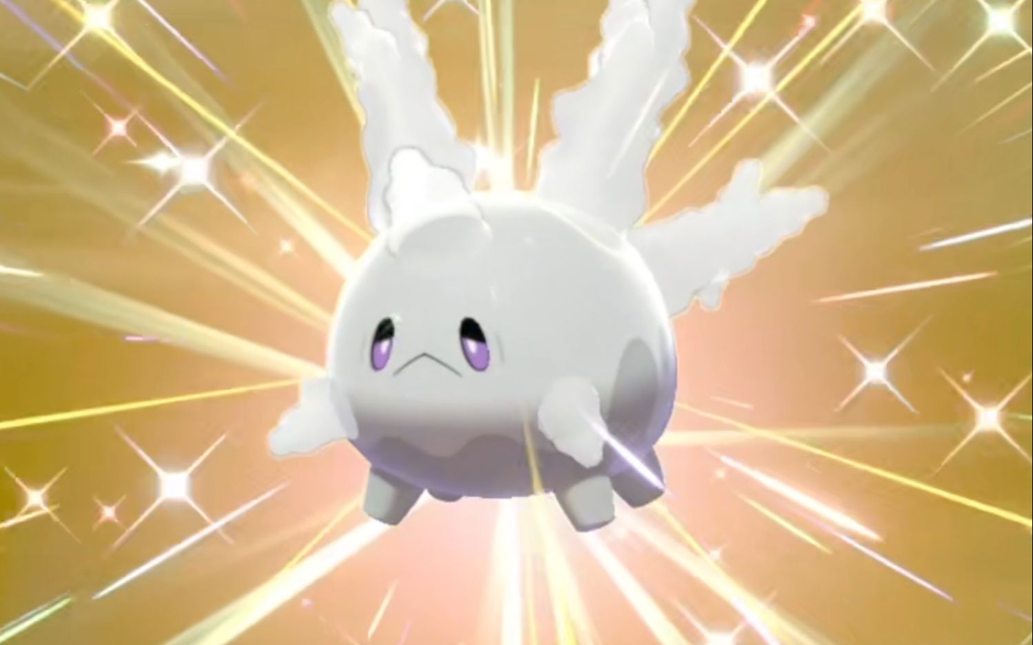 173闪光伽勒尔太阳珊瑚get!