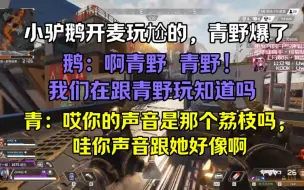 Descargar video: 【青野】玩尬的，小驴鹅伤敌一千自损八万