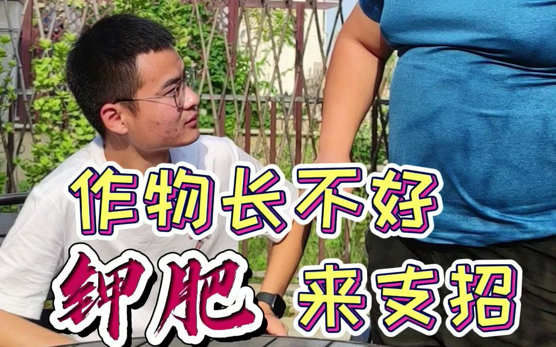 国投罗钾:作物长不好,钾肥来支招哔哩哔哩bilibili