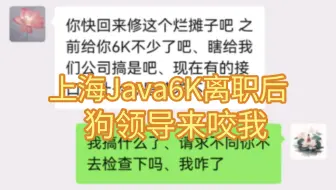 上海Java6K离职后，狗领导又来咬我