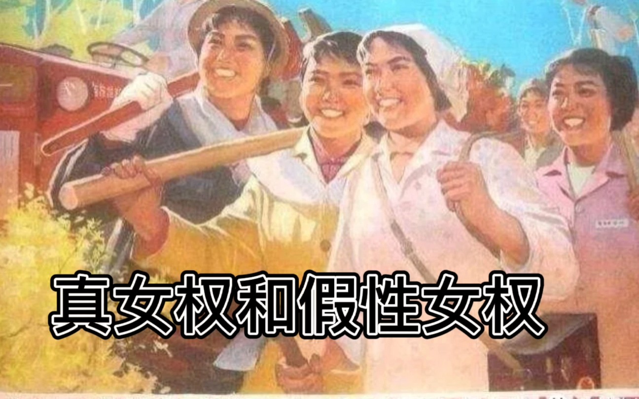 女权之辩:真正的女权对比假性女权哔哩哔哩bilibili