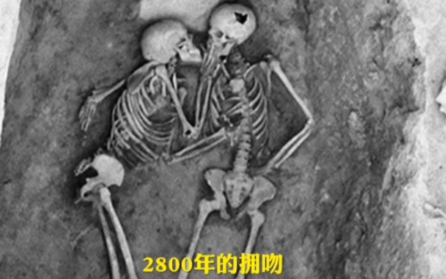 那些跨越千年的生死之恋哔哩哔哩bilibili