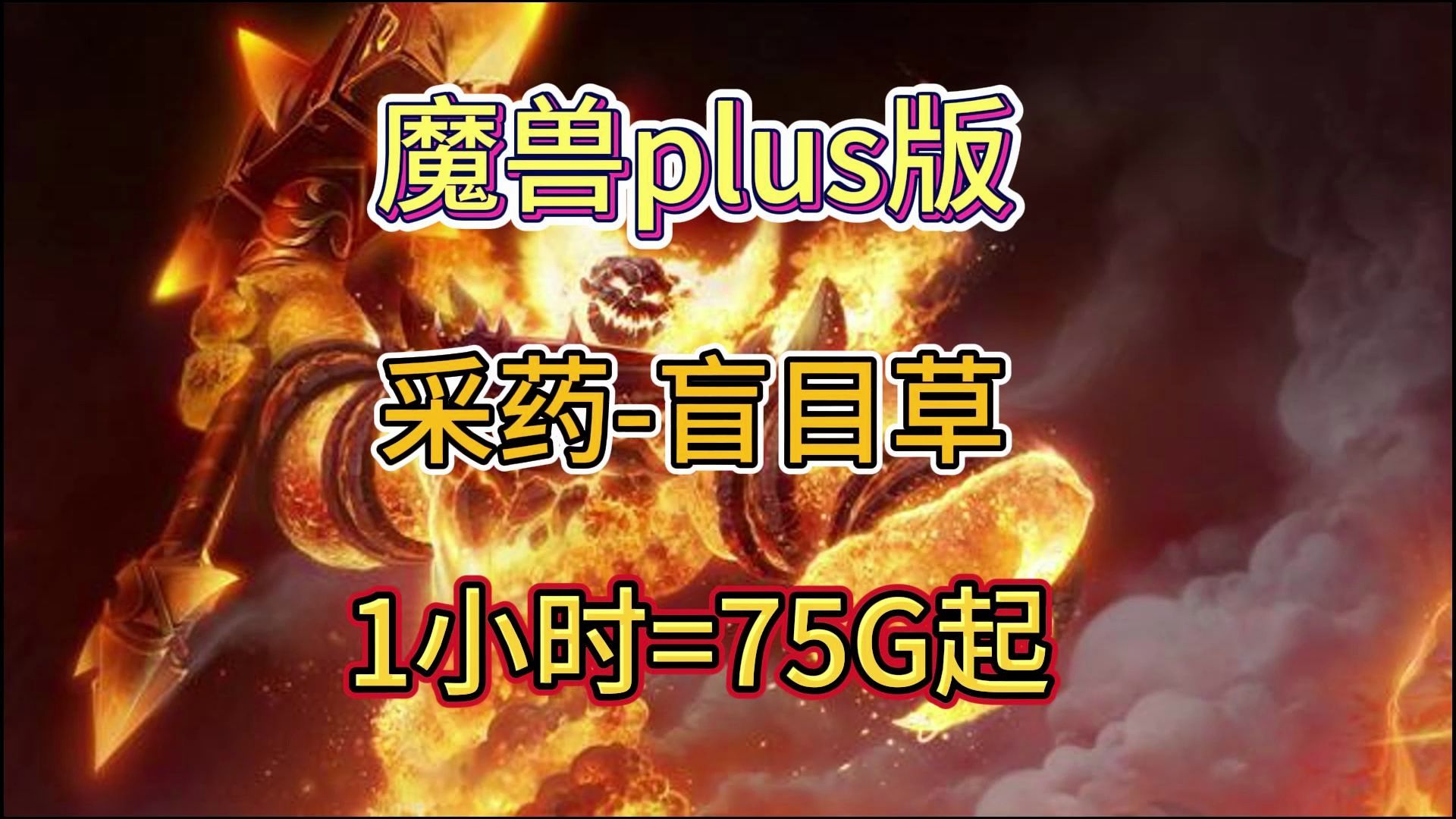 魔兽世界plus版 悲伤沼泽采盲目草 1小时=75G起网络游戏热门视频