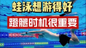 蛙泳蹬腿时机