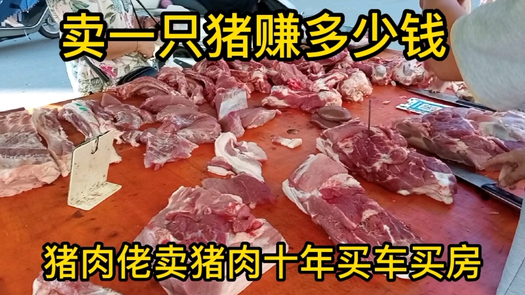 猪肉佬天天说亏本,卖猪肉不赚钱,可是卖猪肉十年买车又买房哔哩哔哩bilibili