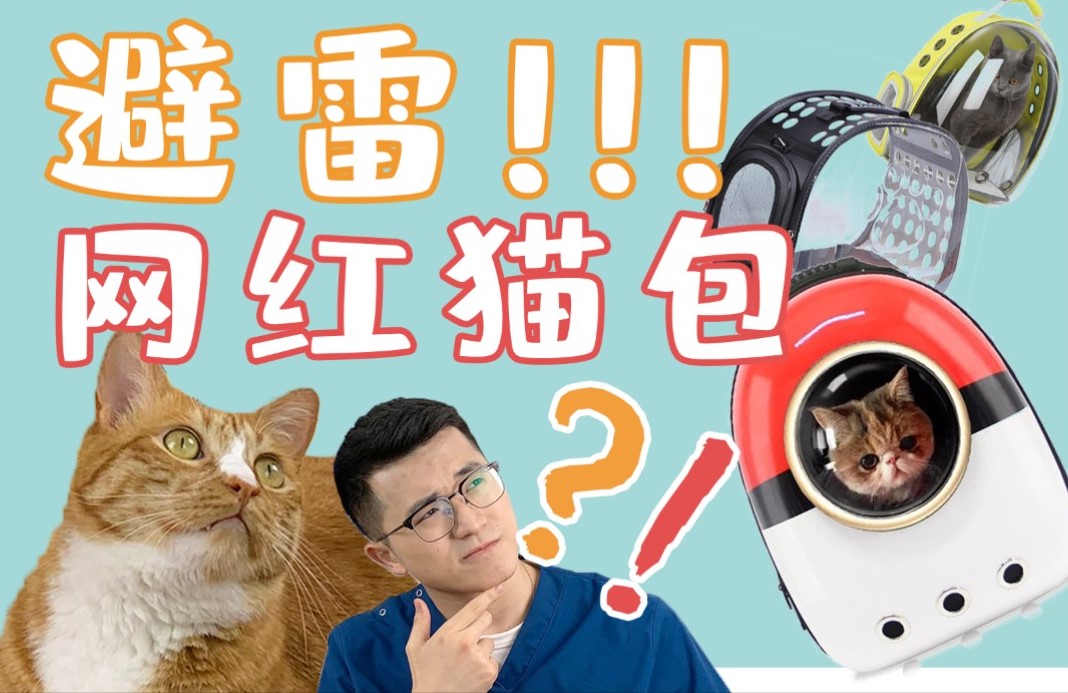 这些猫包这么坑猫!你还要买吗?哔哩哔哩bilibili