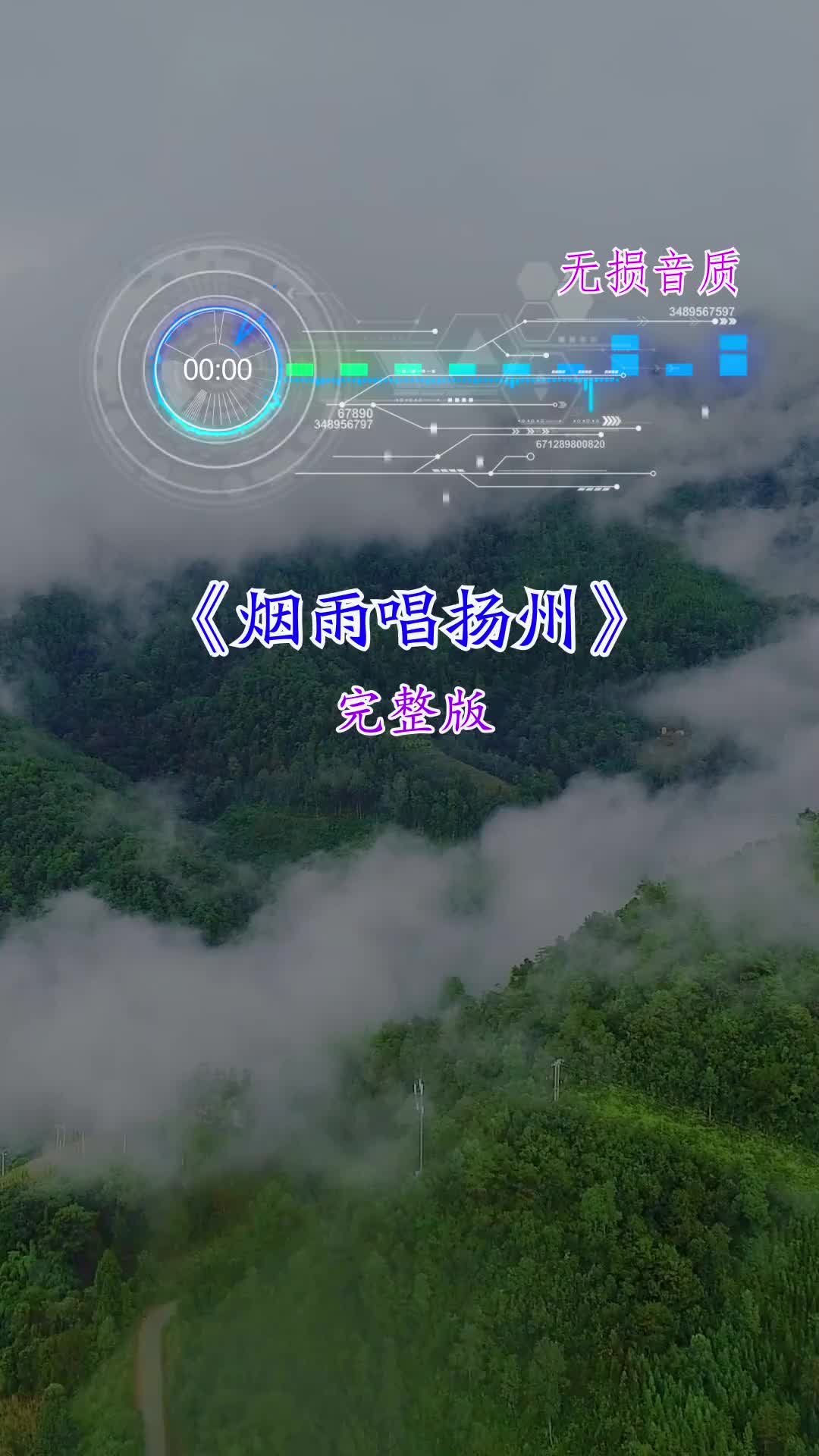 上错花轿嫁对郎多少人看过烟雨唱扬州