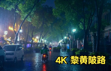 [图]4K 暴雨中的黎黄陂路