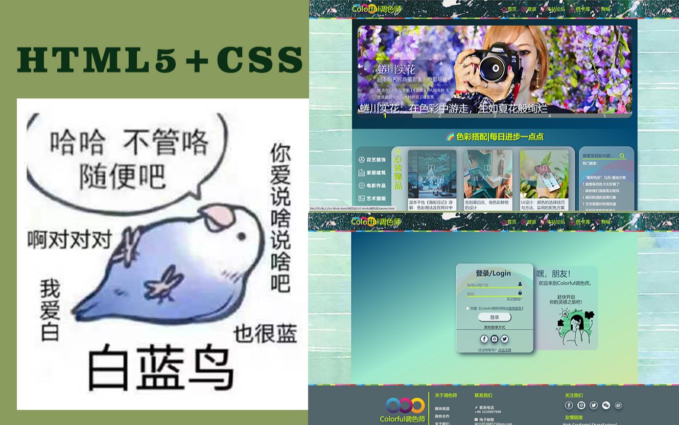 【HTML5+CSS|附源码】Web前端大作业——Colorful调色师|寻找灵感的起源哔哩哔哩bilibili