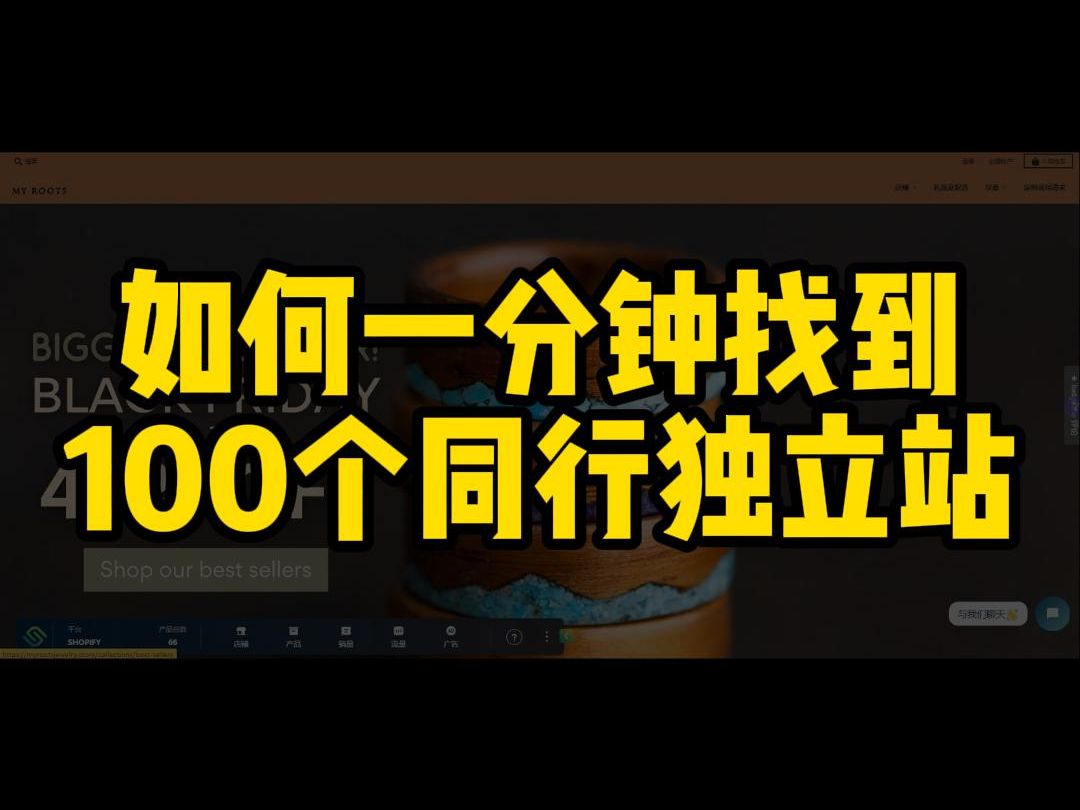 如何一分钟找到100个竞争对手的对标独立站哔哩哔哩bilibili