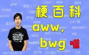 Download Video: 【梗百科】之《爱玩玩，不玩滚喵/awwbwg, meow~》