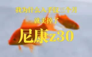 Download Video: 我为什么入手仅三个月就卖掉了尼康z30