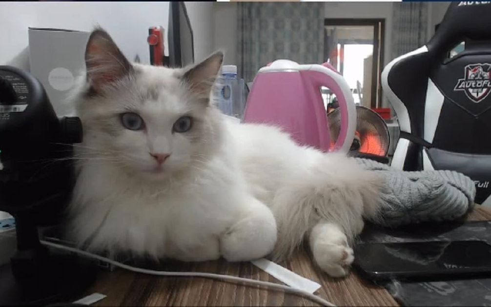 【余小c】2018.12.