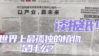 世界上最孤独的植物是什么？丨你甚至可以在B站看报纸（11.10）