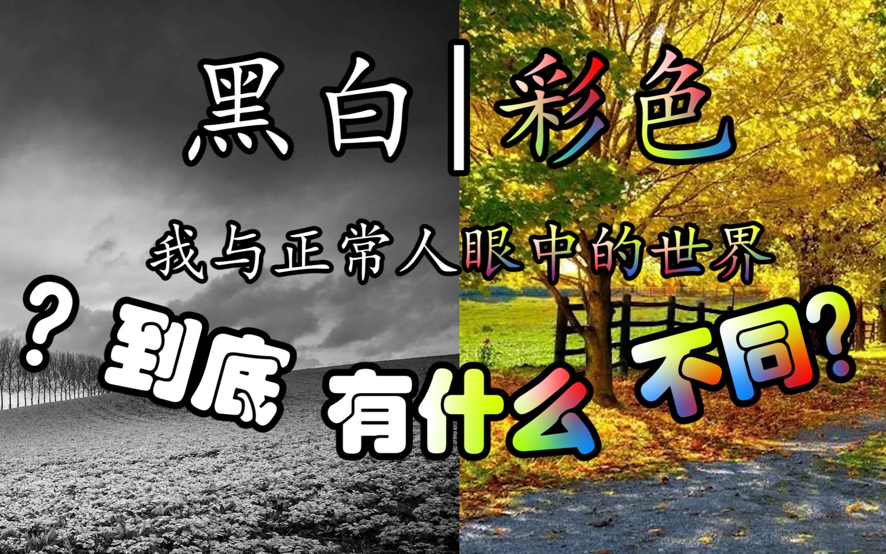 [图]作为一个“被色盲”的“患者”，我与正常人眼中的世界到底有什么不同？