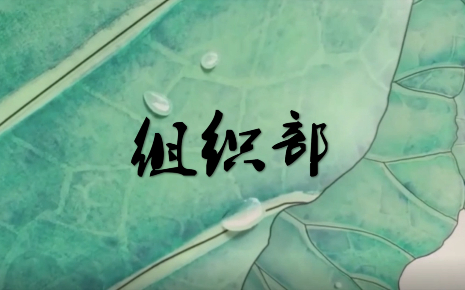 福建医科大学临床医学部学生会组织部欢迎您!感谢了解吖!