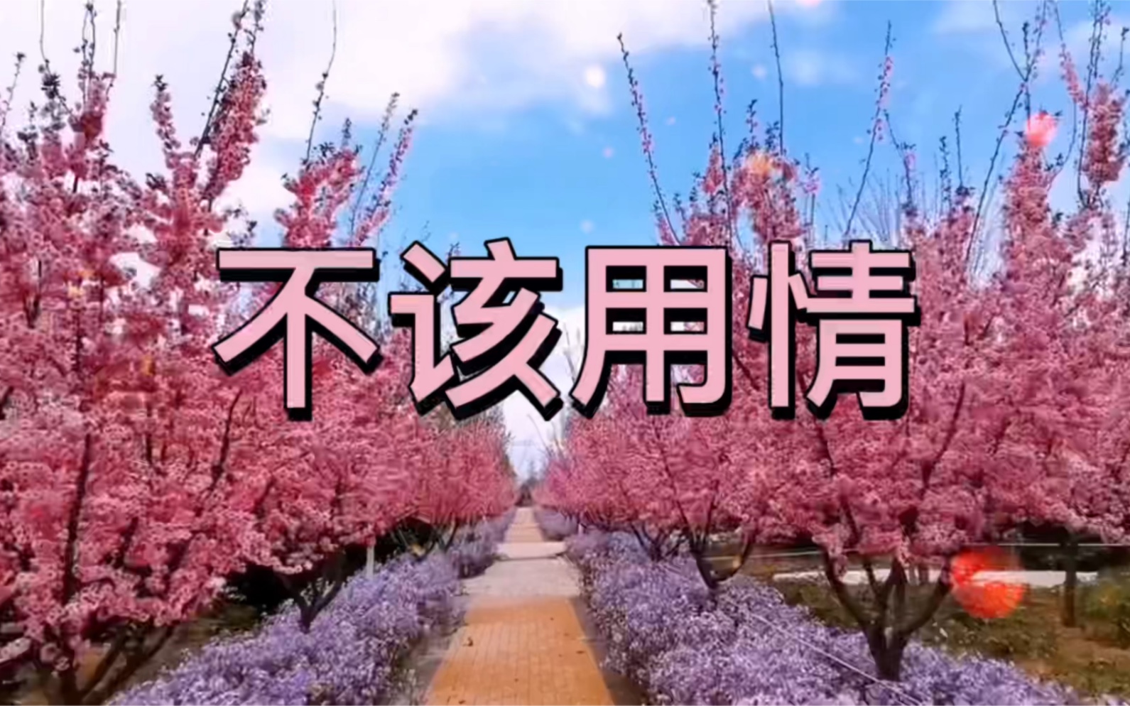 《不该用情》真正的放手,不是放下别人,而是放下自己; 当初的心动,就