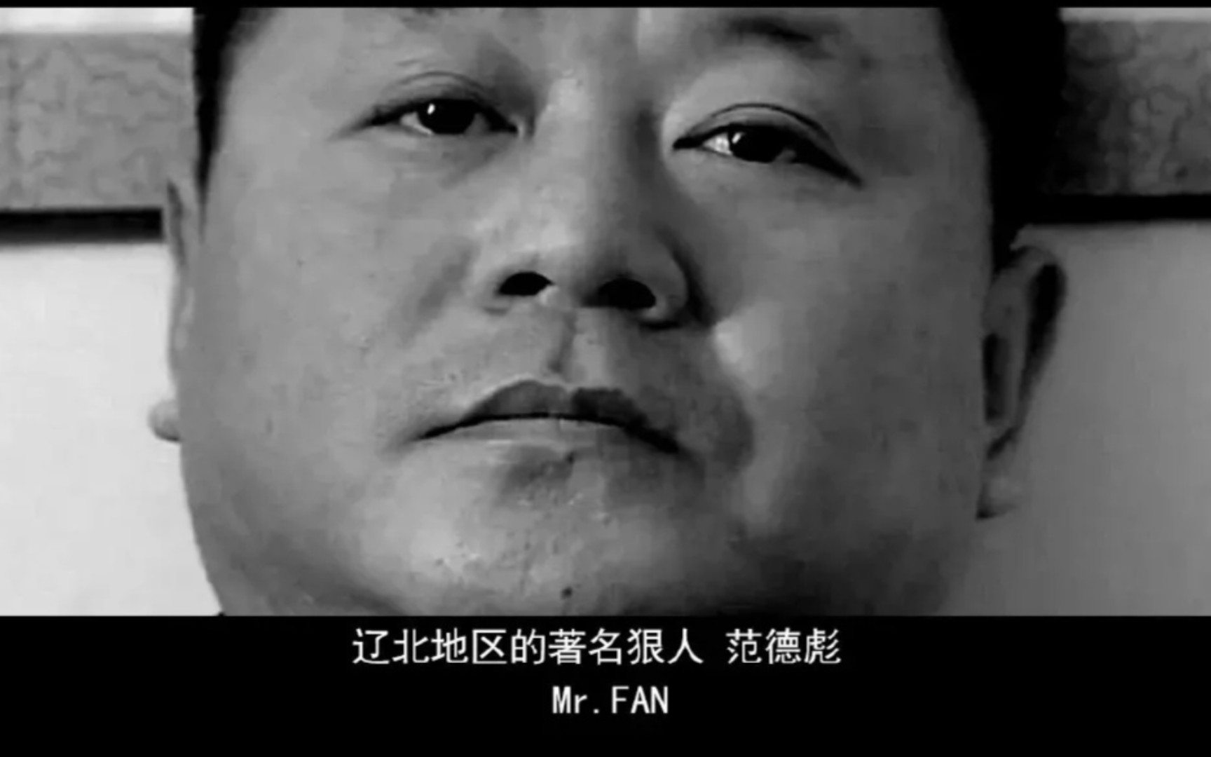 成为范德彪,理解范德彪