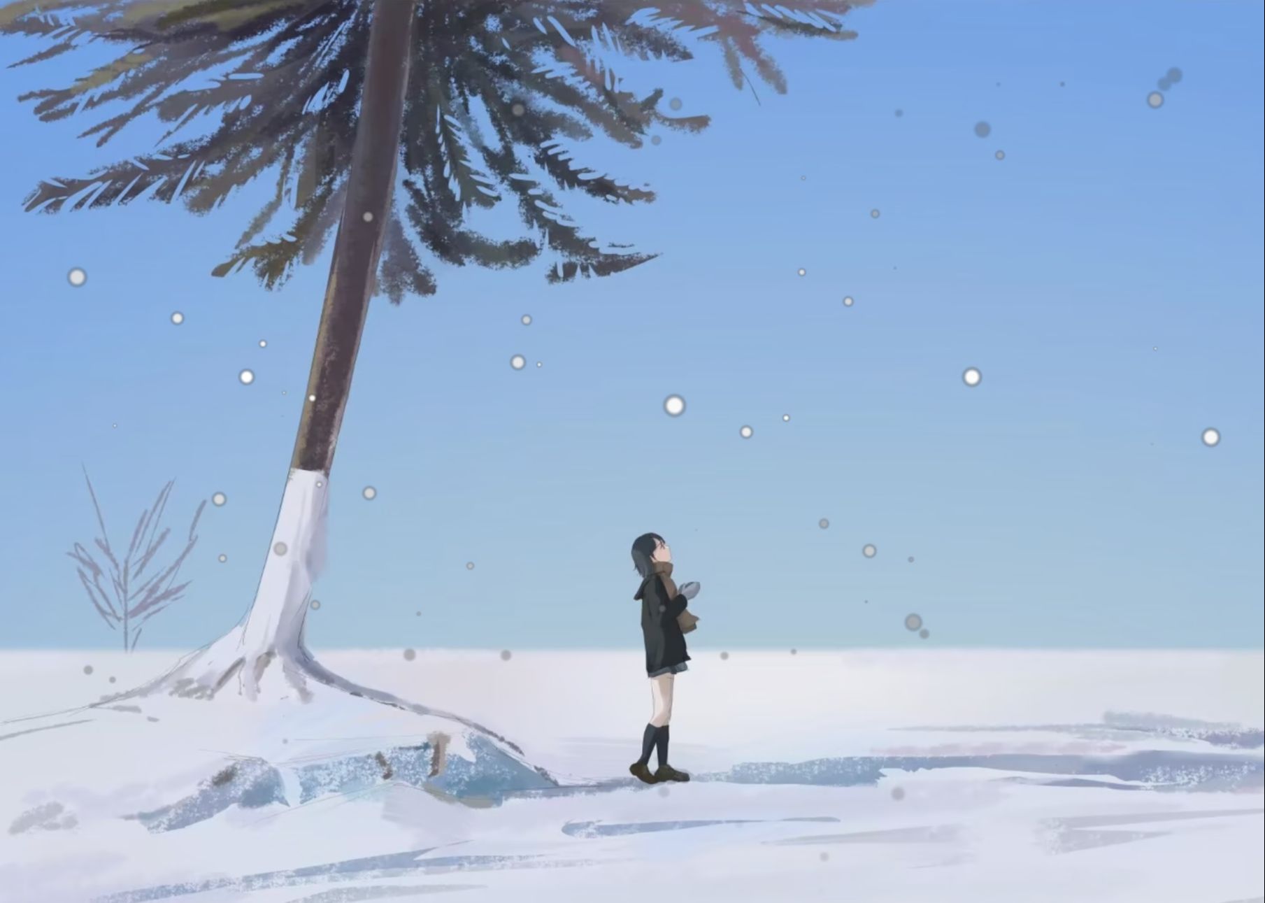 原创音乐《雪》在寒冷冬季 仰望星空