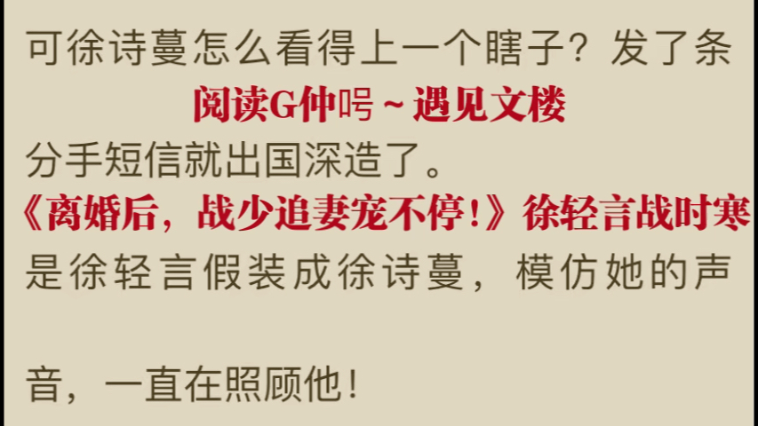 言情小说推荐《离婚后,战少追妻宠不停!》徐轻言战时寒哔哩哔哩bilibili