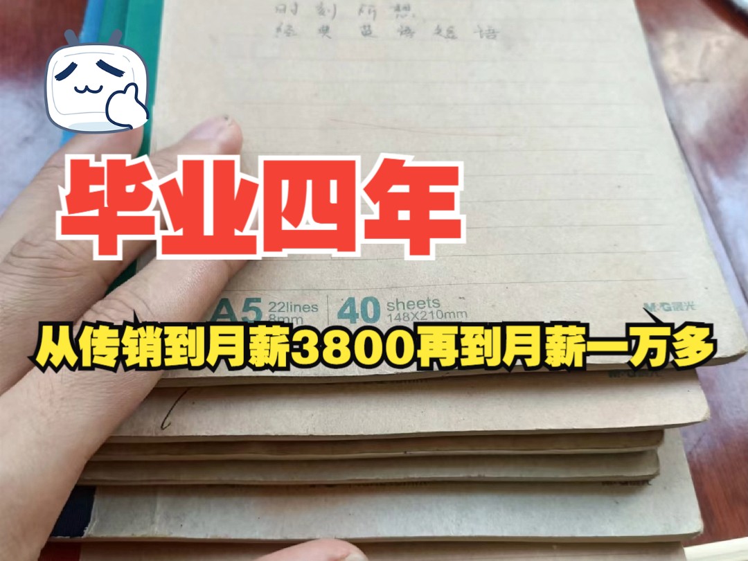 毕业4年从传销到月薪3800再到目前月薪上万哔哩哔哩bilibili