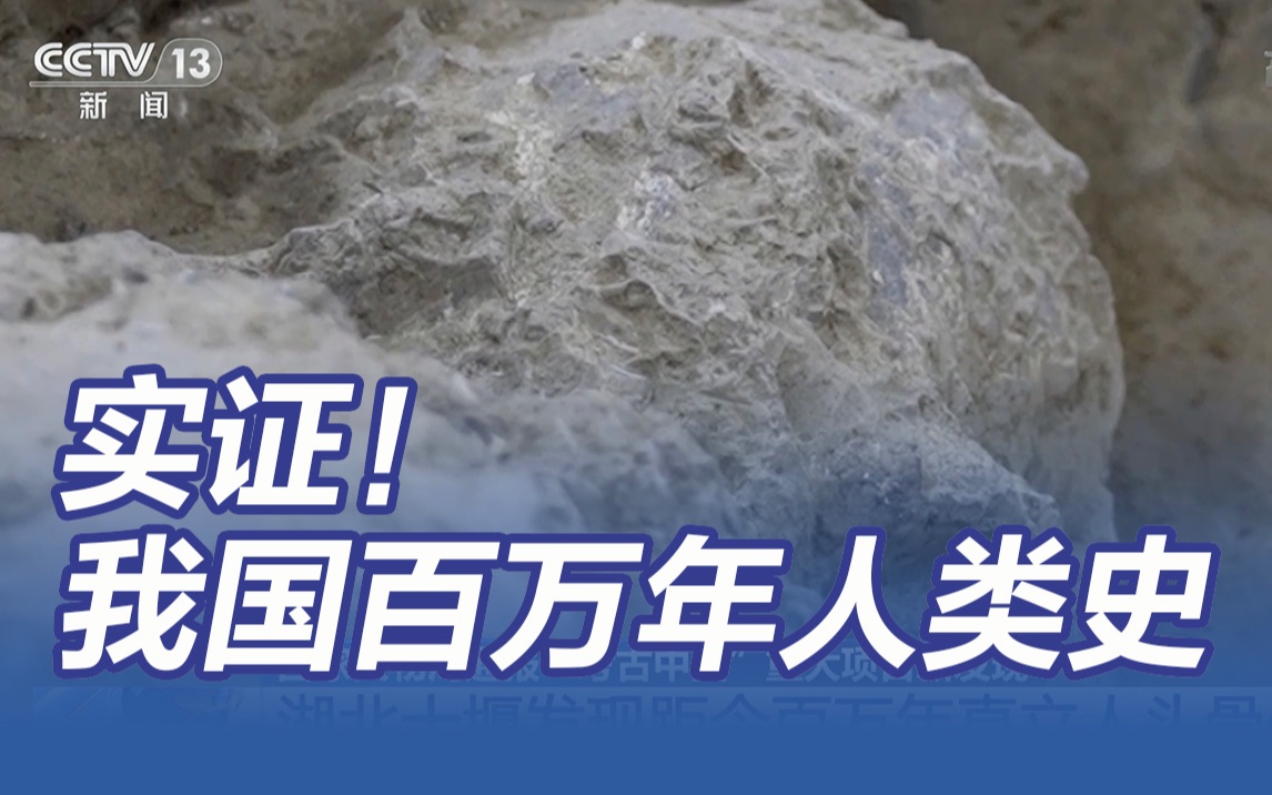 湖北发现百万年前人类头骨化石及其“食谱”哔哩哔哩bilibili