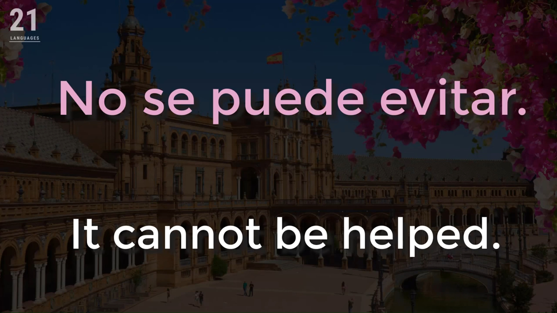 6--慢速西语--part4--中西字幕--词词对照