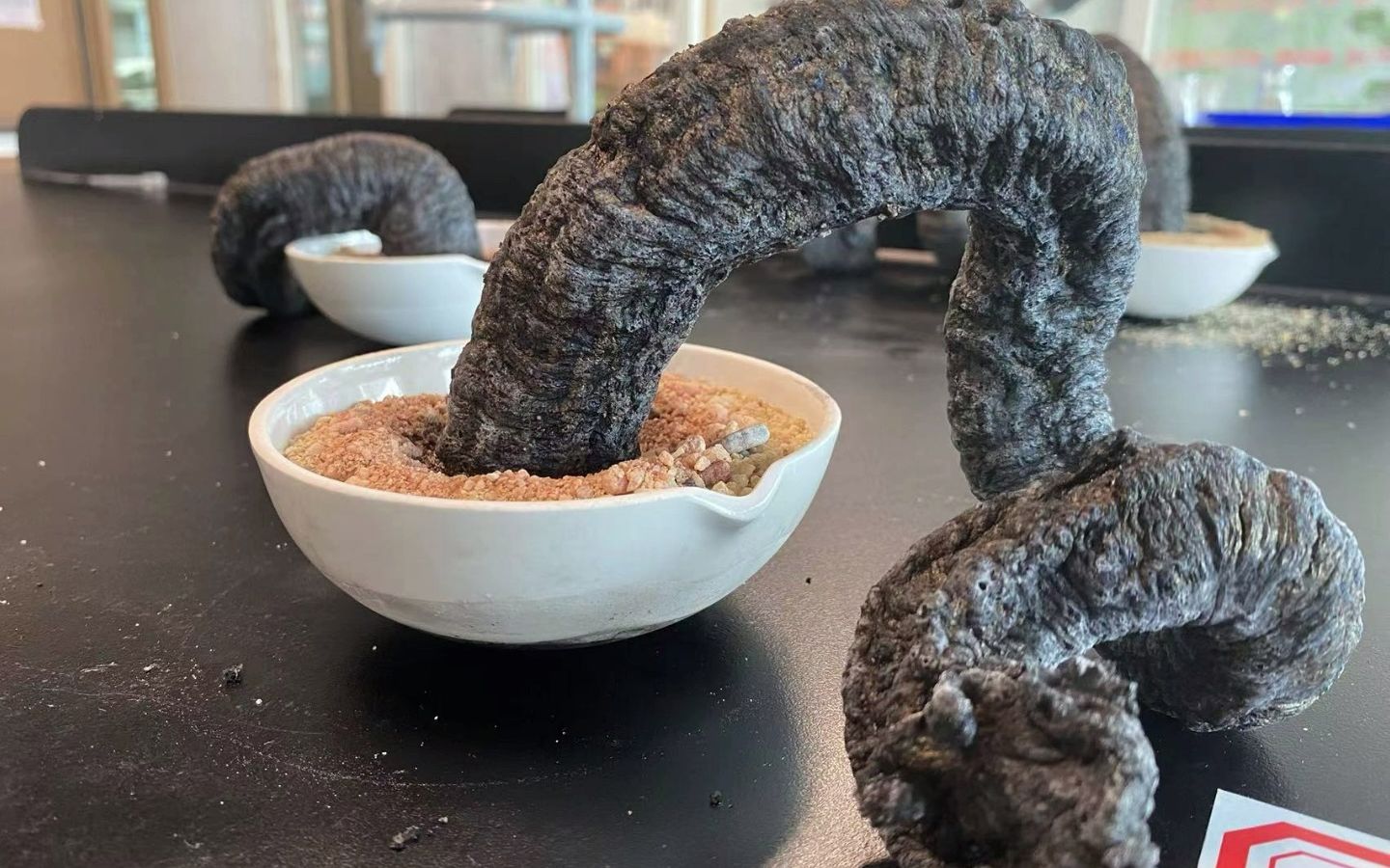 来自暗黑地下的魔鬼-法老之蛇