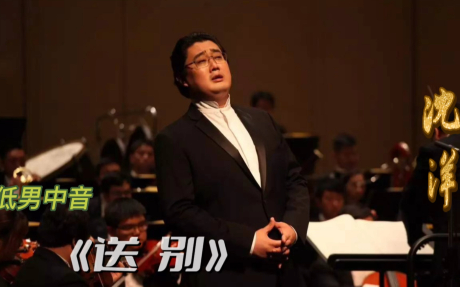 屡次获得国际声乐比赛金奖的沈洋为您演唱经典歌曲《送别》快来听哔哩哔哩bilibili