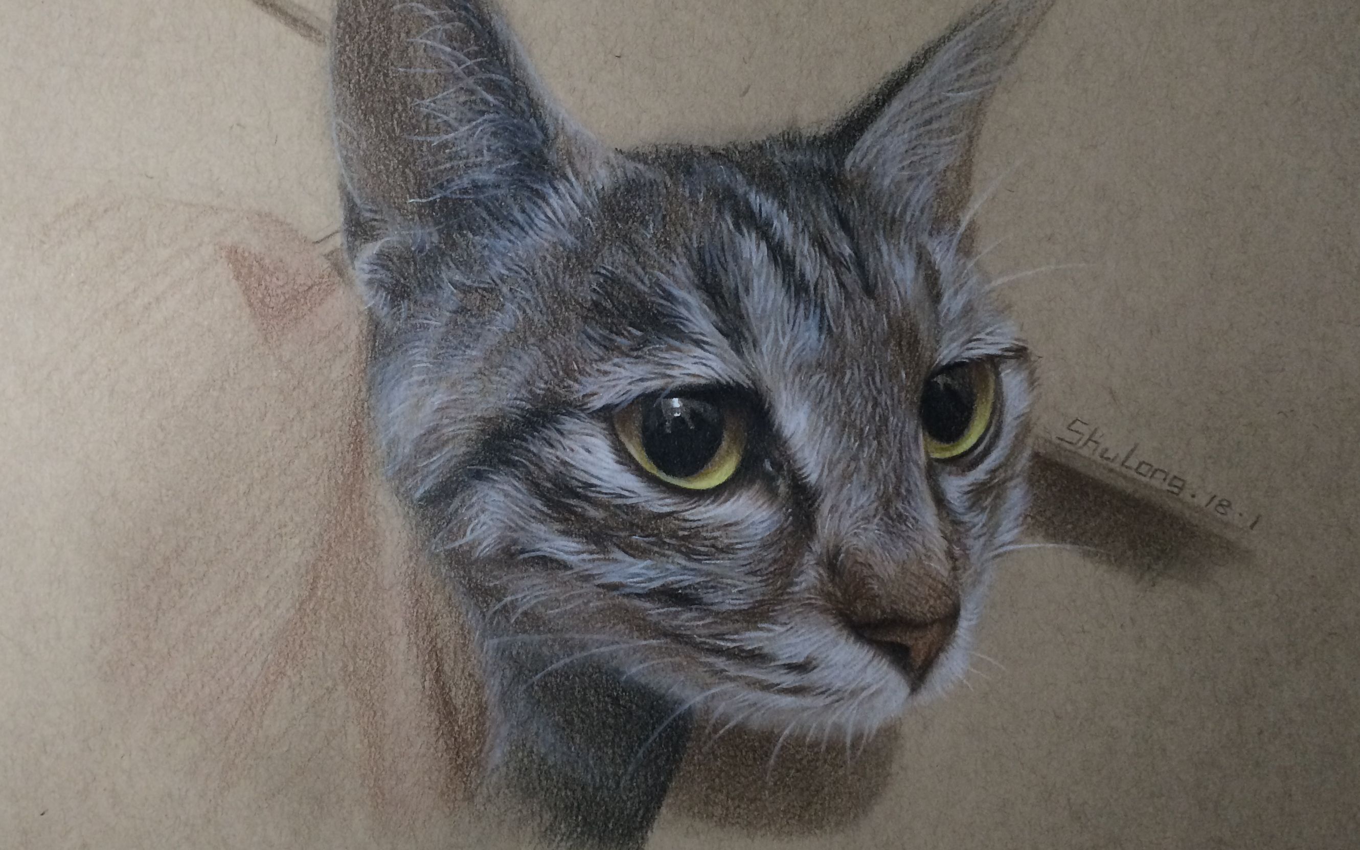 【彩铅】吸~~~猫/18年小目标/手绘喵星人