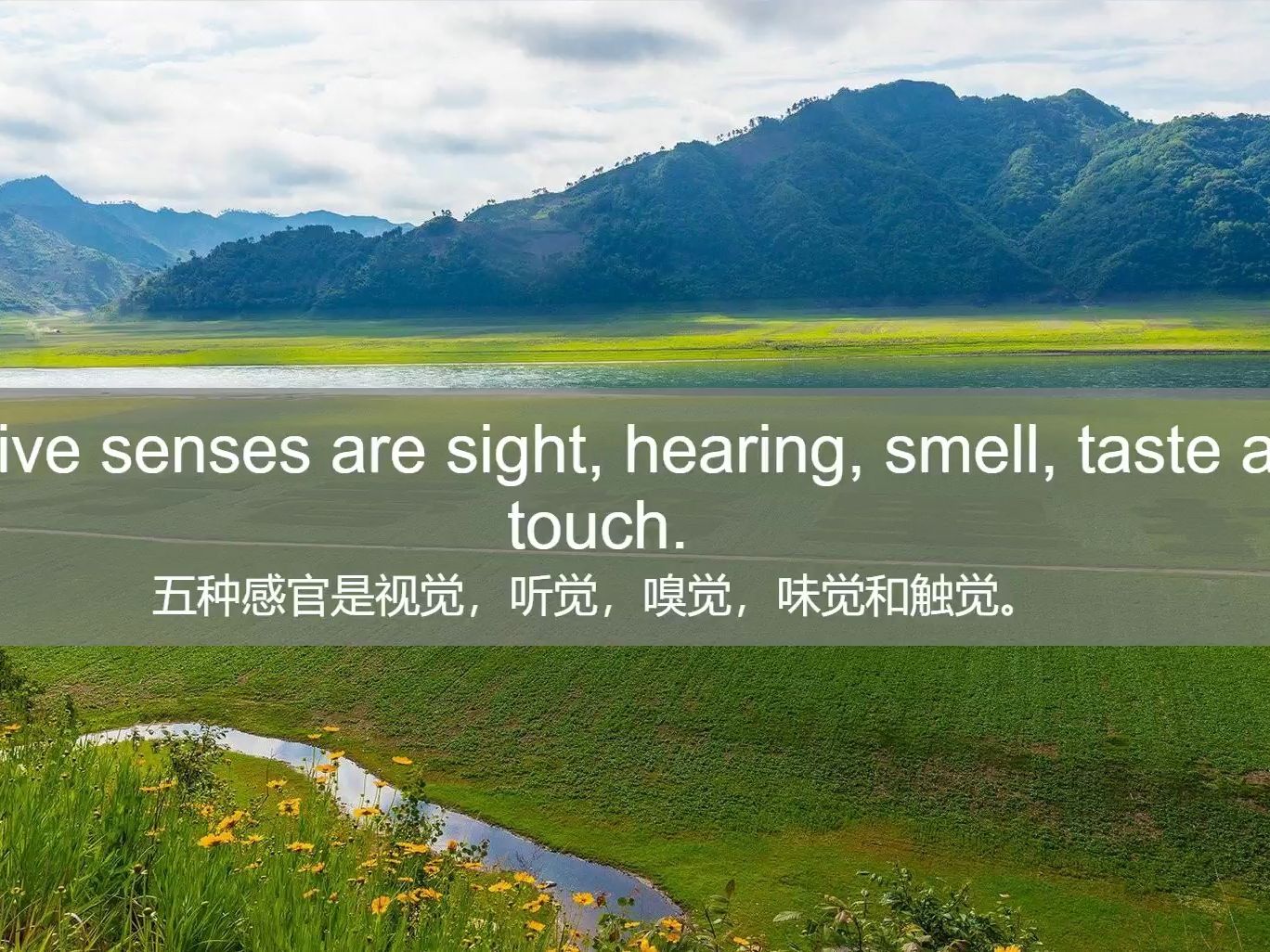 李俊超老师英语经典背诵中英对照大字幕 1