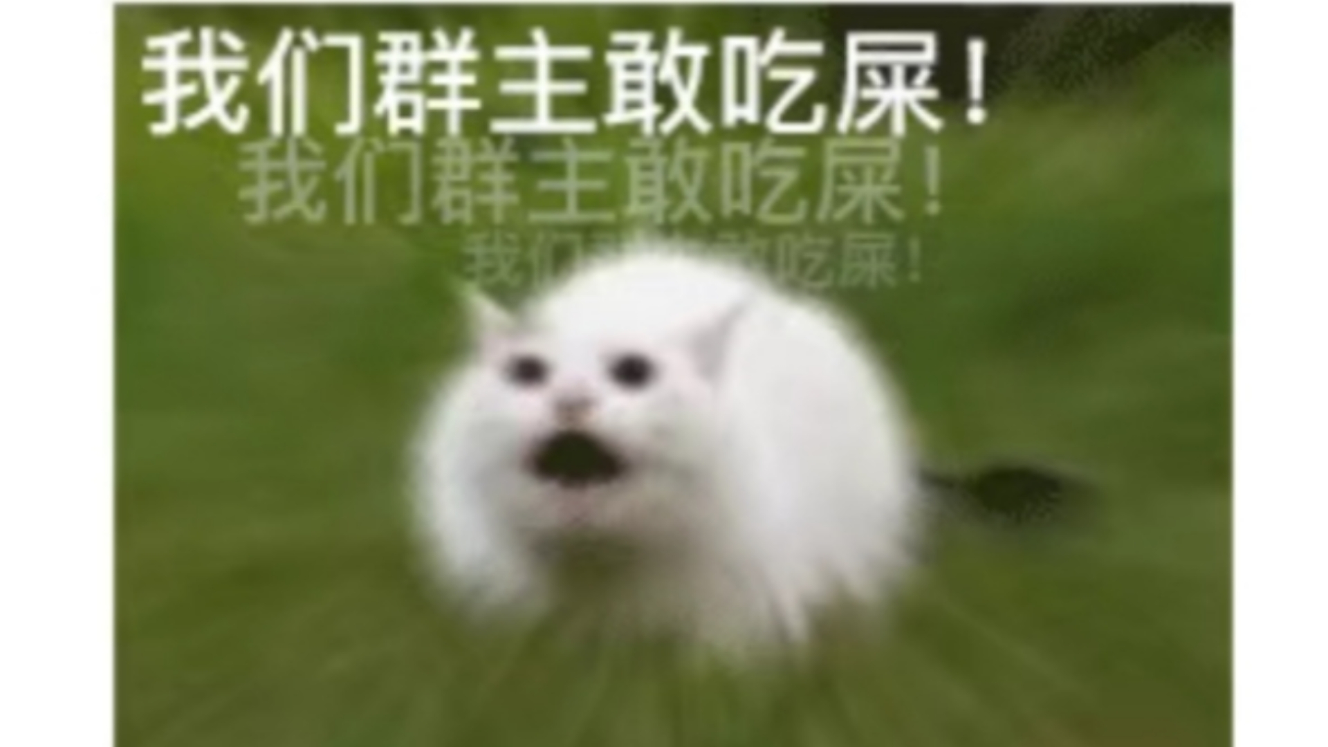 这个装扮真好看,但也到今天为止了