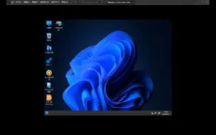 下载视频: Windows 11 Pro 22631 3296 2in1 轻度精简版 小修
