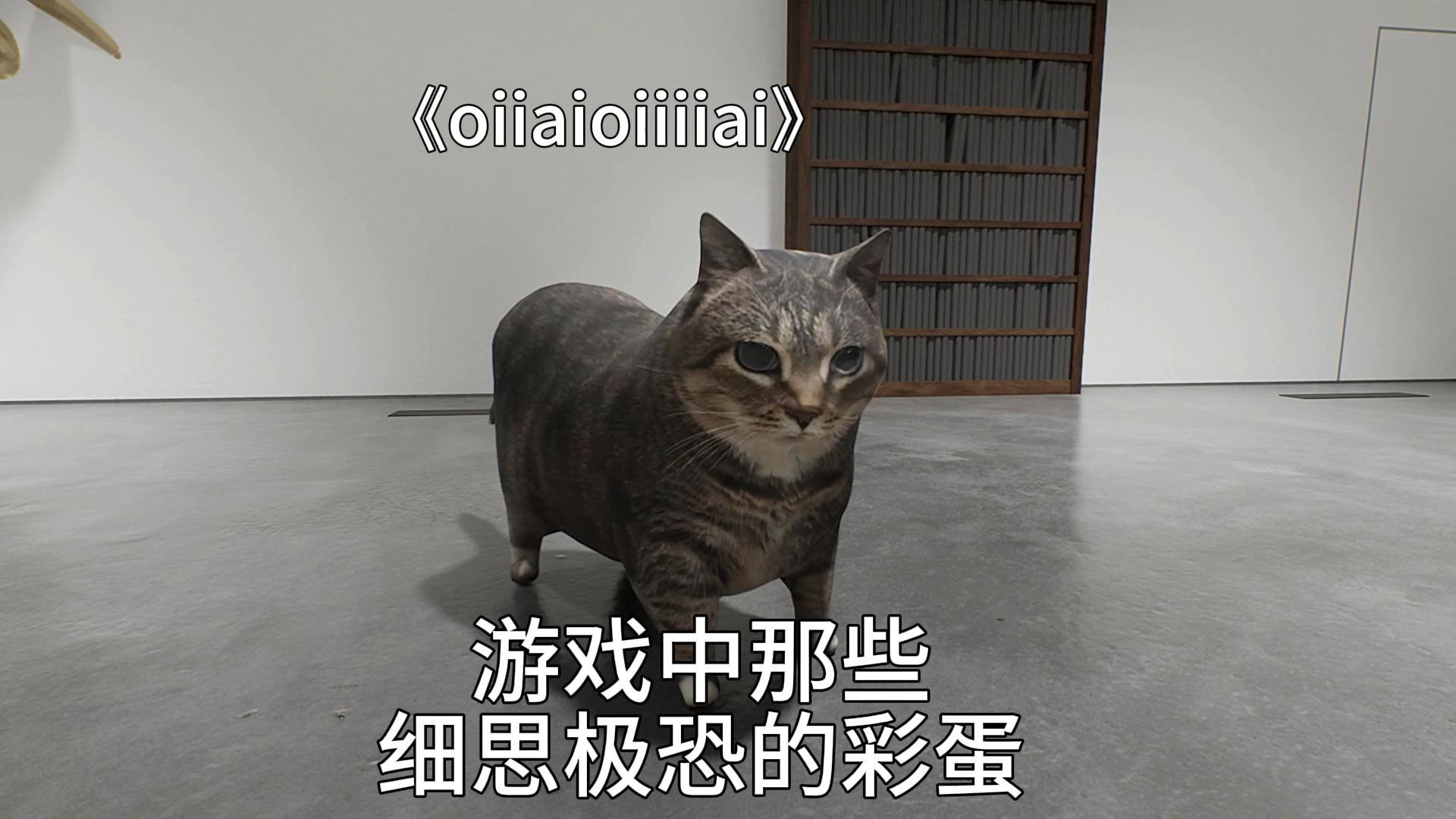 《异馆》用自由视角居然还能看到旋转小猫