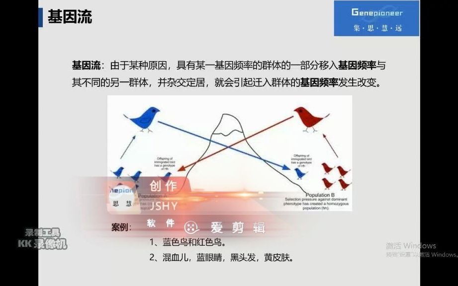 【遗传】群体遗传学分析内容概述(下)哔哩哔哩bilibili