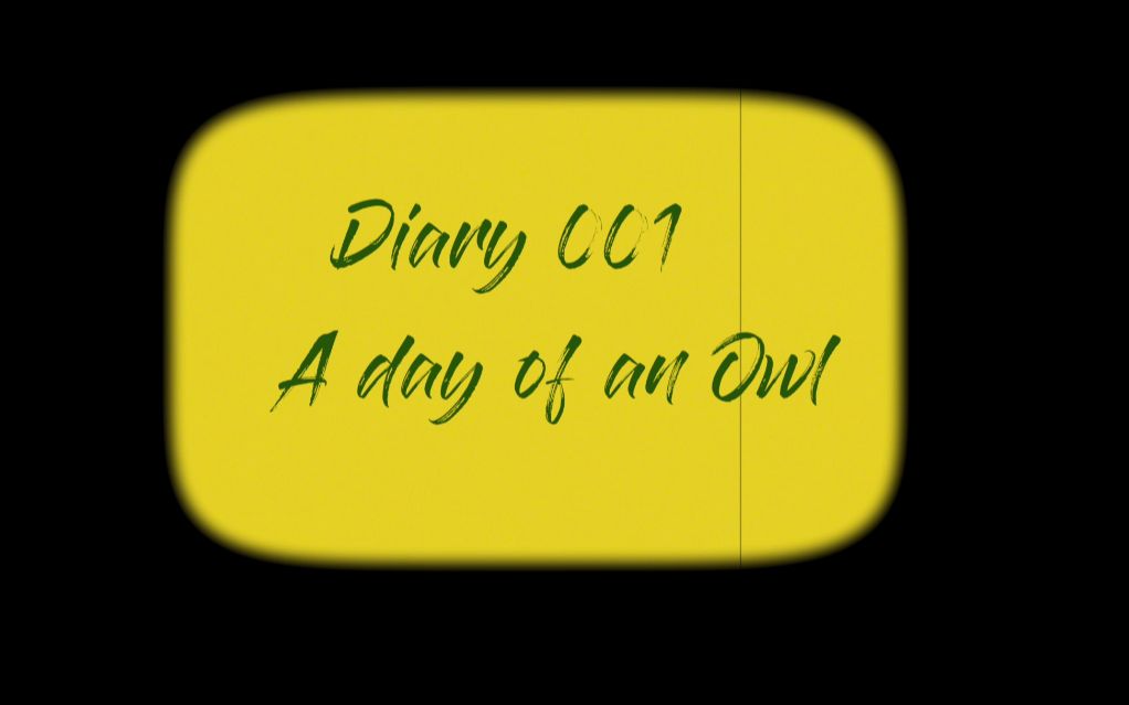 vlog diary 001: a day of an owl/一只猫头鹰的一天/ rice