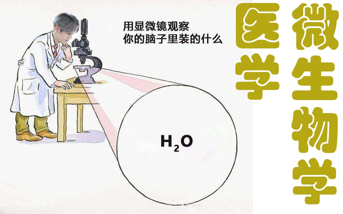 [图]闲聊之医学微生物学预习复习参考经验