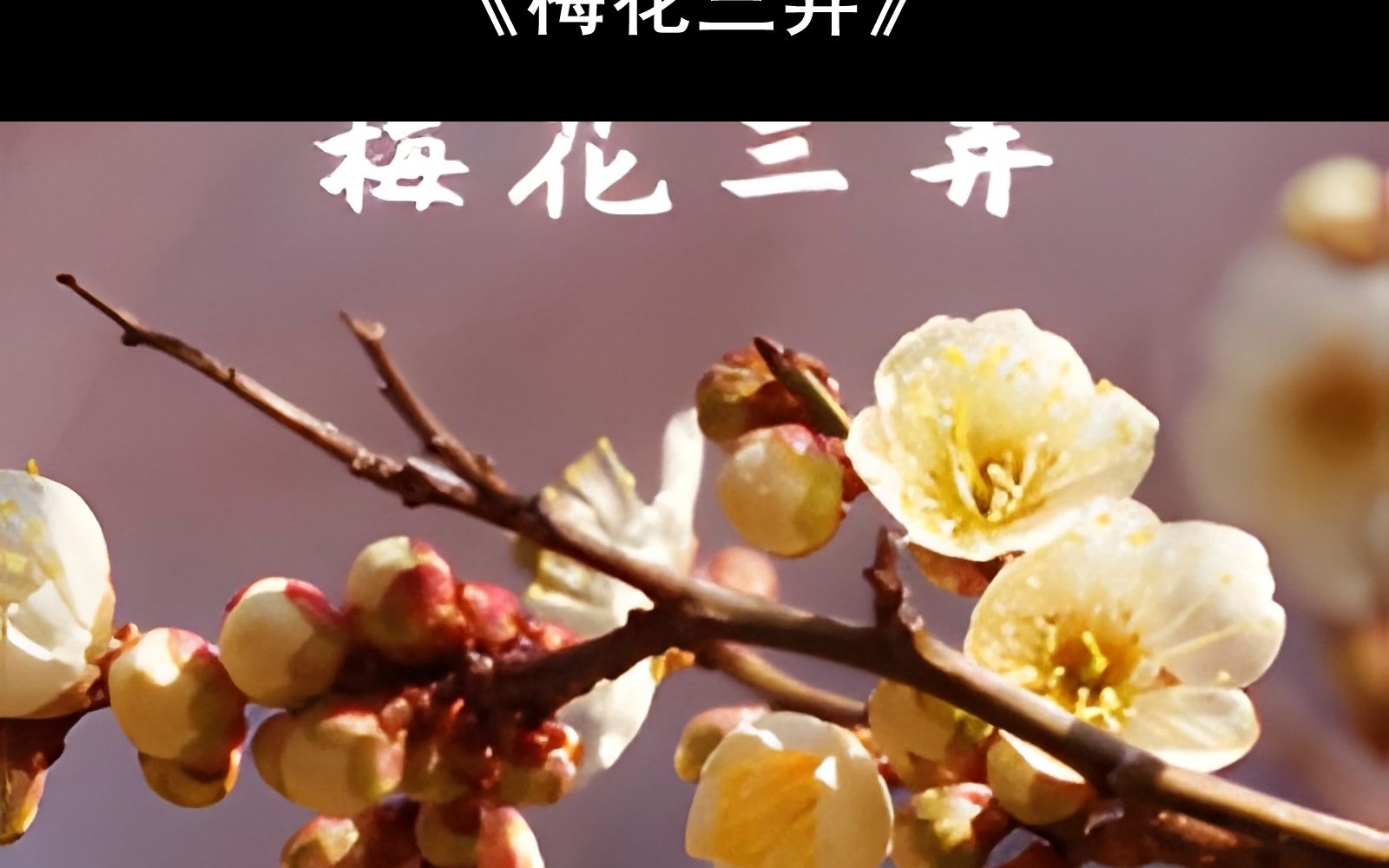 【附钢琴谱】梅花三弄钢琴谱 梅花三弄简谱 梅花三弄钢琴教学教程