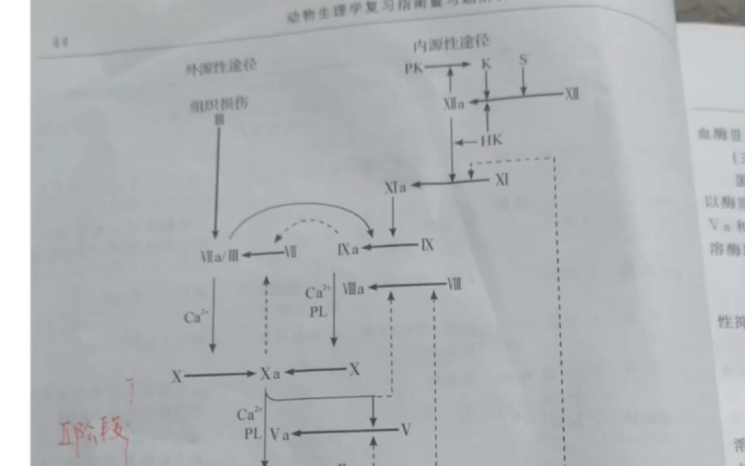 【考研】415生理生化怎样总结记忆?哔哩哔哩bilibili