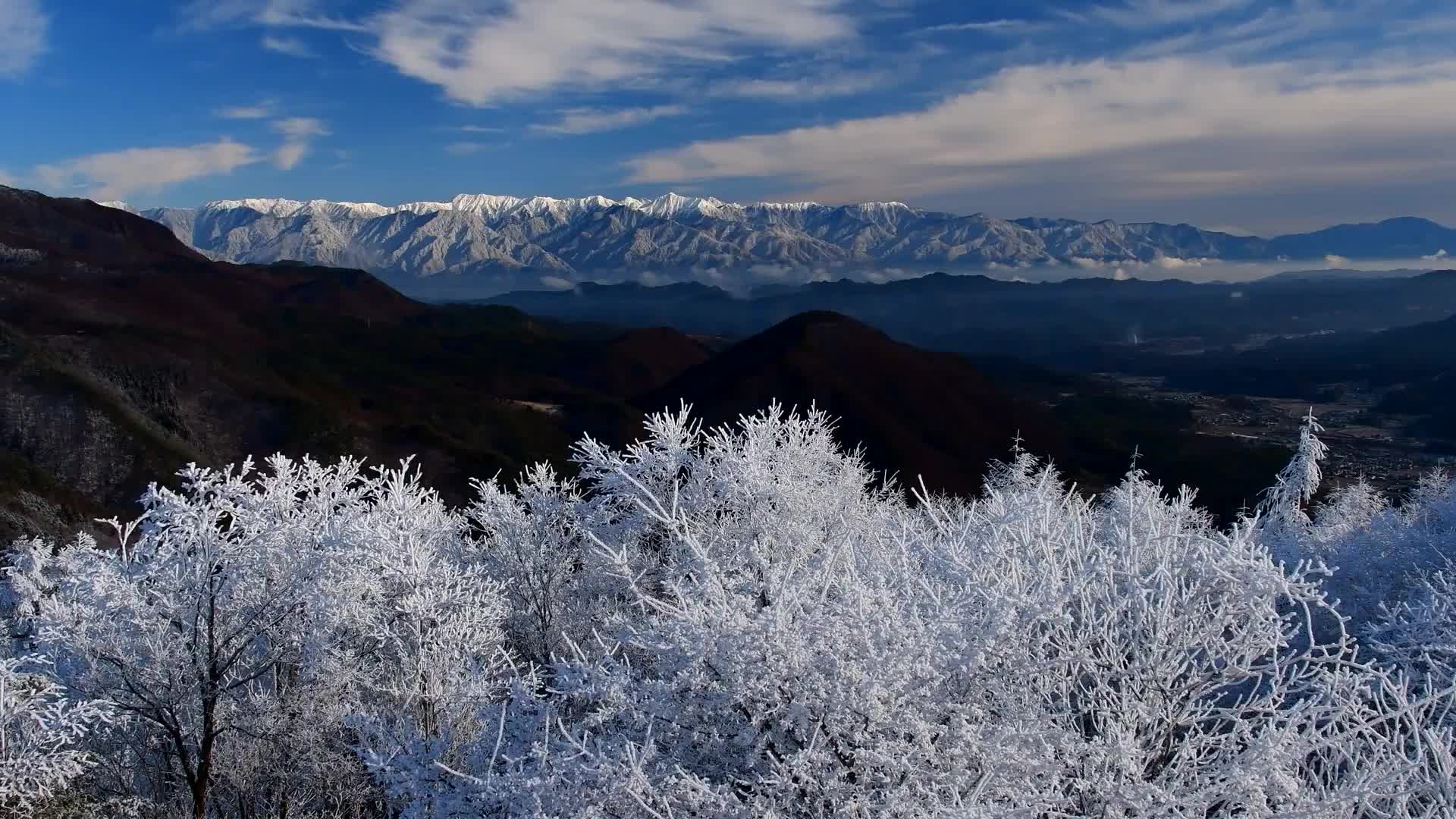 静心禅修寒天飘雪森林鸟儿温柔和唱听完心灵平静舒畅