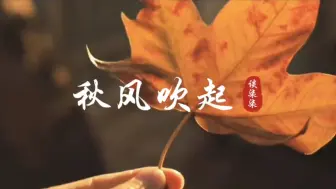 网络热歌，谈柒柒《秋风吹起》淡淡的忧伤，思绪万千，我又想你了