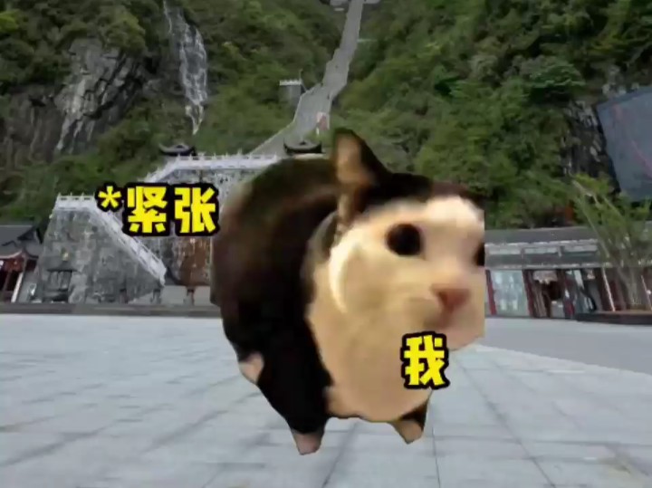 当你获得一个特殊能力