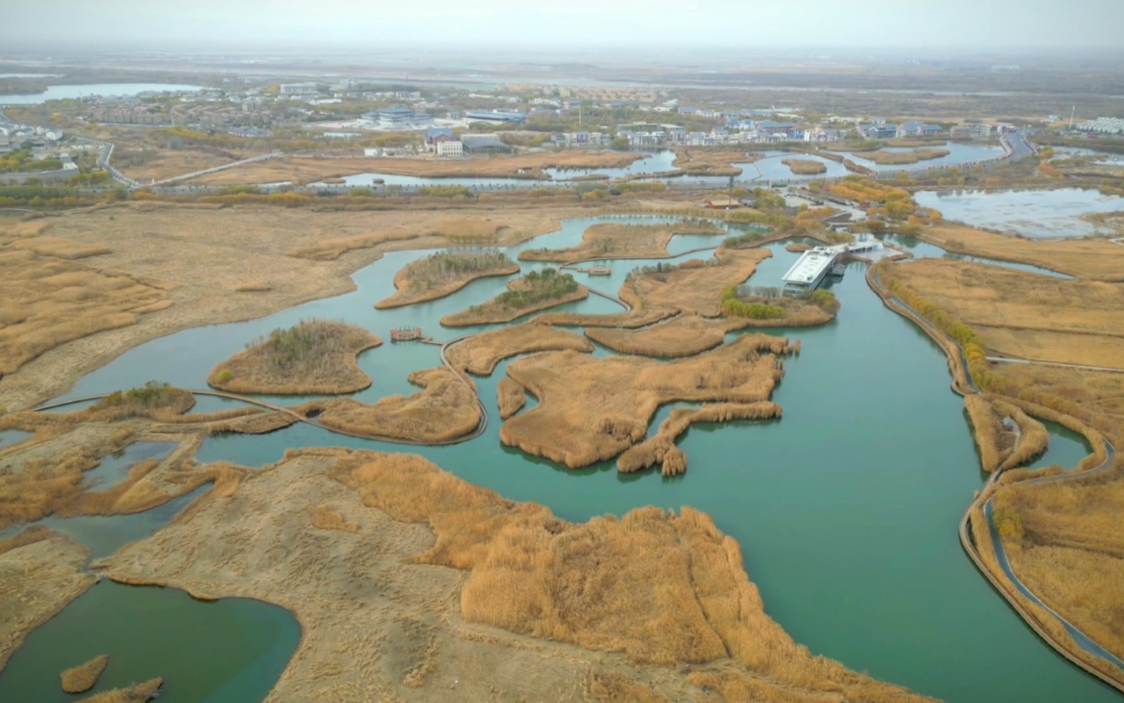 遇见湿地,邂逅美景,日子清净,满眼温柔哔哩哔哩bilibili